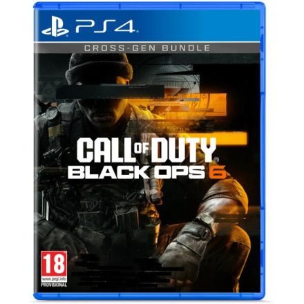 Call of Duty: Black Ops 6 (PS4)