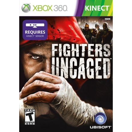 Fighters Uncaged Xbox 360 Kinect